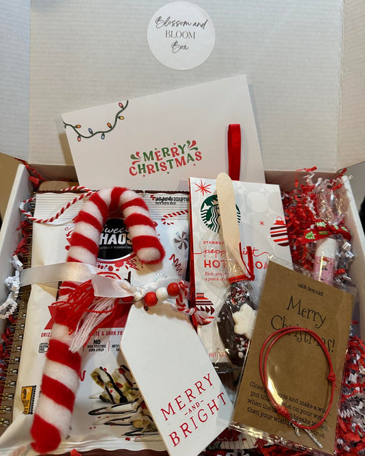 Ho Ho Holiday (Christmas Gift Box for Tweens/Teens)